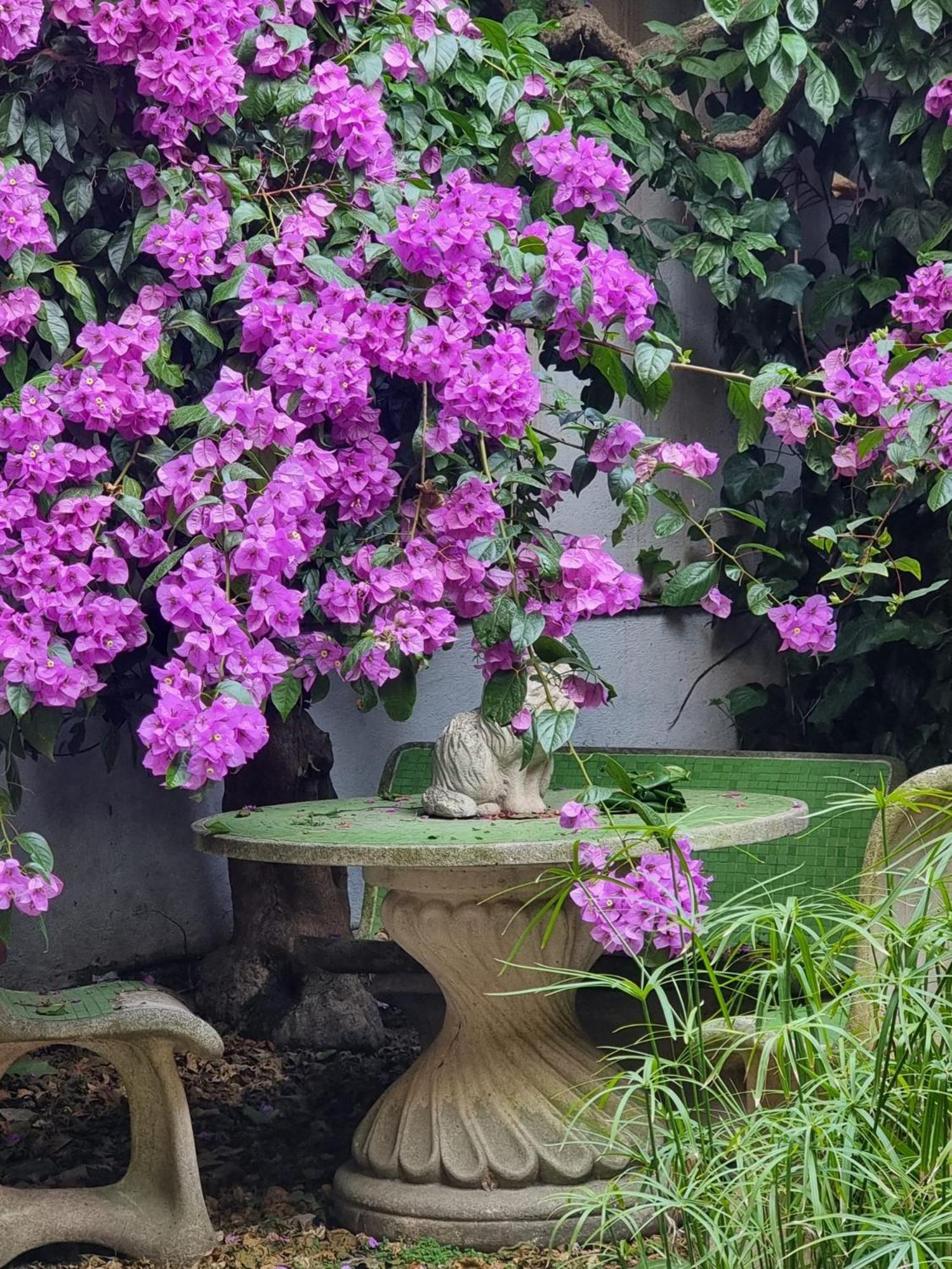 Vatican Fairytale Garden Roma Eksteriør bilde